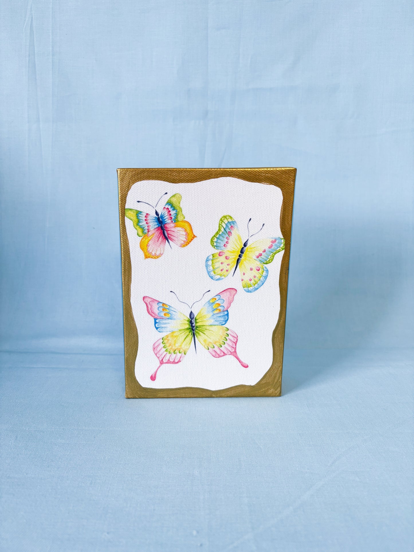 Butterfly Artist Enhanced Canvas